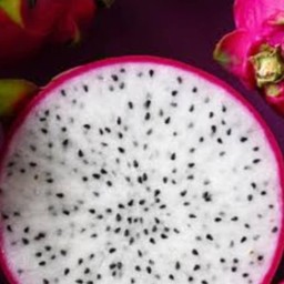 แก้วมังกร