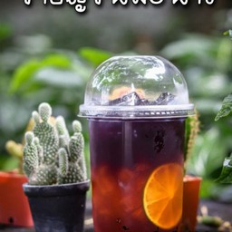 ชาอัญชันมะนาว