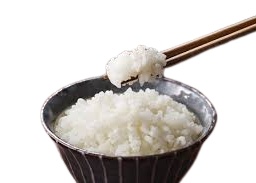 ข้าวญี่ปุ่น (JAPANESE RICE)