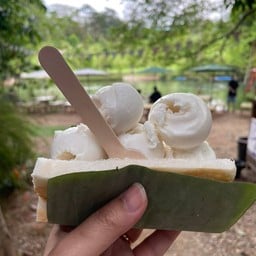 ตลาดริมน้ำจามจุรี