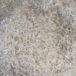 ณิชาน้ำมะพร้าว