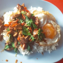 กะเพราเครื่องในไก่+ไข่ดาว