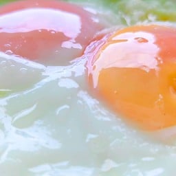 ดาวแฝด ไข่เป็ดเบอร์0