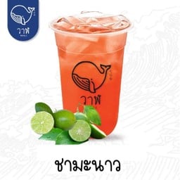 ชาไทย & ข้าวไก่เกาหลี