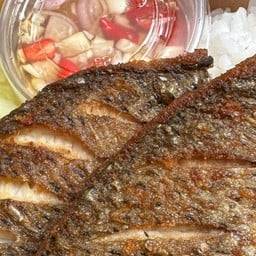 ชาวี ข้าวปลาแกะ ข้าวหน้าไก่/เนื้อสูตรเฉพาะ ของทอด ฮาลาล @มีนบุรี