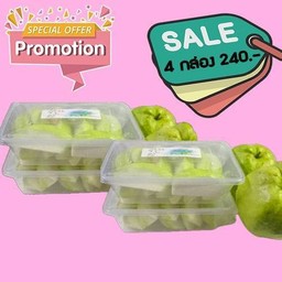 Promotion ฝรั่ง 4 กล่อง