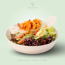 สลัดกุ้งย่างวาซาบิ