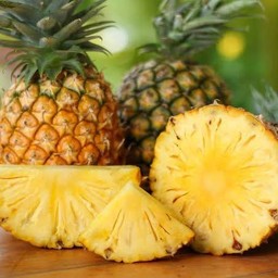 น้ำสัปรดปั่น