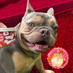 [ไอติมหมา]Apple Carrot Blueberry Ribbon 85g