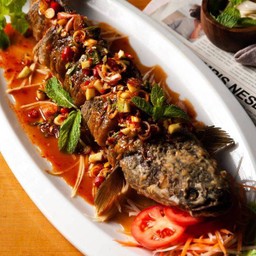 ปลาช่อนลุยสวน