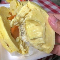 ทุเรียนปลายฝน