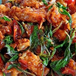 กระเพาไก่กรอบ (กับข้าว)