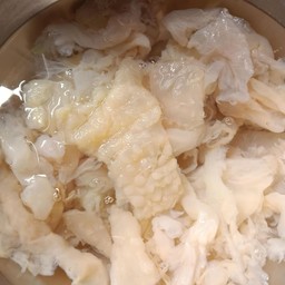 แมงกระพรุน