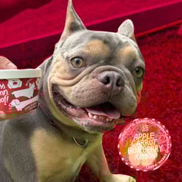 [ไอติมหมา]Apple Carrot Blueberry Ribbon 85g