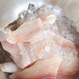 ปลาดอลลี่