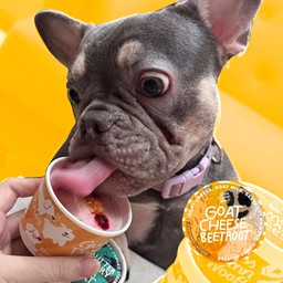 [ไอติมหมา]Goat Cheese Beetroot 85g