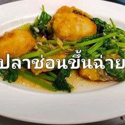 ปลาช่อนผัดขึ้นฉ่าย