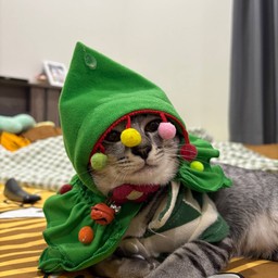 ช่วยอาหารน้องภาระ