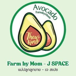 ⭐️ แม่ปลูกลูกขาย เจ สเปซ - Farm by Mom J SPACE เจ สเปซ หนองจ๊อม สันทราย
