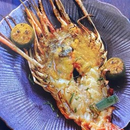 กุ้งแม่น้ำย่าง