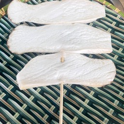 เห็ดออรินจิย่าง