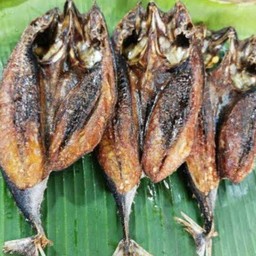 ปลาโอแดดเดียว