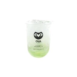 OWL CHA สาขา ข่วงสิงห์ เชียงใหม่