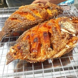 ข้าวปลาแกะ( ในสวน )