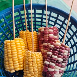 ข้าวโพดหวาน