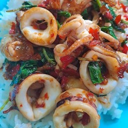 ข้าวกะเพราปลาหมึก