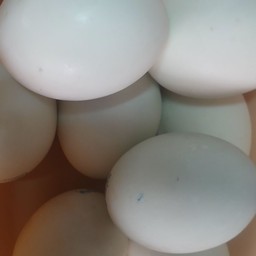 ยำไข่เค็ม