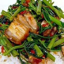 ผัดบุ้งหมูการอบ