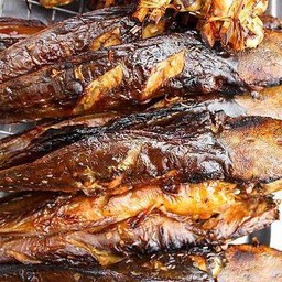 Grilled Catfish