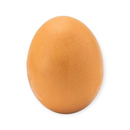 ไข่ไก่