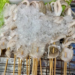 หมึกสาย ไม้เล็ก