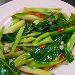 คะน้าน้ำมันหอย