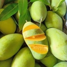 มะม่วงแก้วขมิ้นเหลือง รสชาติหวานอมเปรี้ยว อร่อย [กล่องใหญ่]-ไม่มีพริกเกลือ/น้ำปลาหวานให้นะคะ