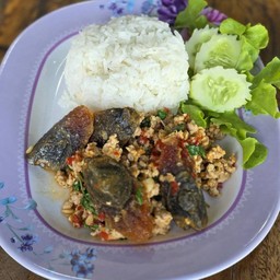 ข้าวกระเพราไข่เยี่ยวม้า