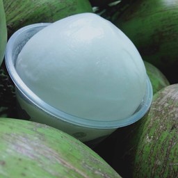 มะพร้าวสดถอดเสื้อ