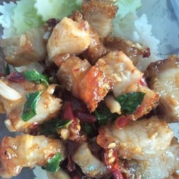 กะเพราหมูกรอบ(กับข้าว)