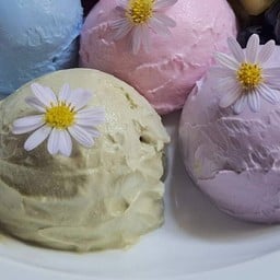 กรีกโยเกิร์ต (เลือกรสชาติกรีกเองได้ค่ะ)