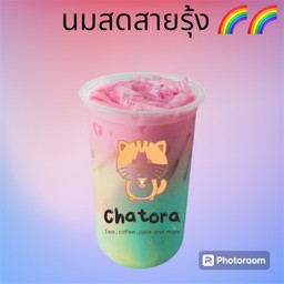 นมสดเรนโบว์(นมสายรุ้ง)