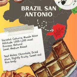 Brazil San Antonio Chocola Natural- คั่วกลาง