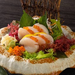 Hotate Sashimi หอยเชลล์ญี่ปุ่นซาชิมิ