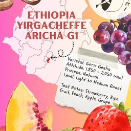 Etiopia Yirgacheffe Aricha G1 - คั่วกลาง