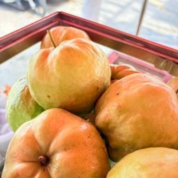 ฝรั่งแป้น