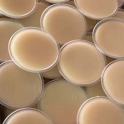 วุ้นกะทิ ชุดละ 2 คู่