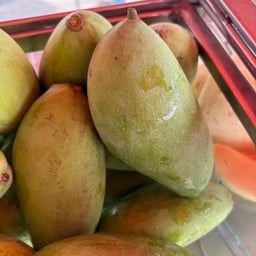 มะม่วงมัน (ฟ้าลั่น)