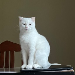 แวะอ่านสักนิ้สสสสสสนะคะ (อย่ากดนะค้า)