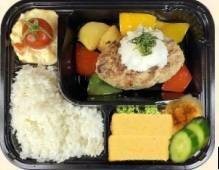 2729. Oroshi Hamburg Box